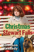 Christmas in Stewart Falls